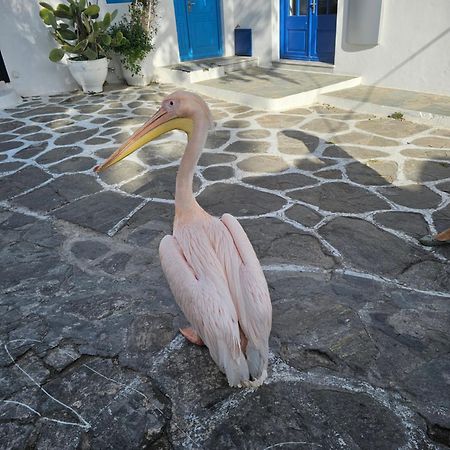Lalaland Apartman Mykonos Town Kültér fotó